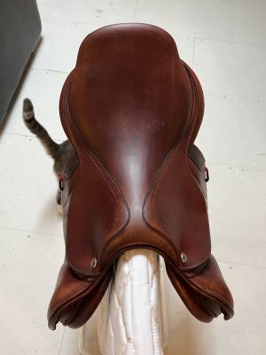 Cwd - selle optim close contact 17''