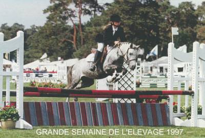 Fury des mauvis : fury des mauvis 