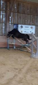 Pléiade endhil alam