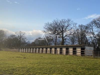 Bos exploitatie koop orne