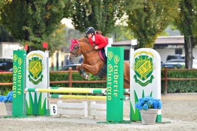 Pony competitiva salto ostacoli