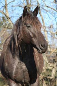 My soul hancock blue  - Quarter 2020