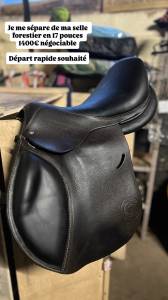 Selle forestier prem’s 17 pouces