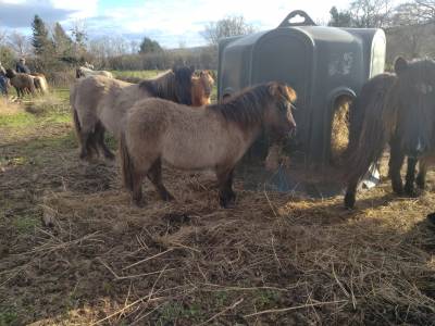 Panoramix d'arquetan