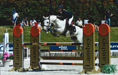 Virago d'arquetan : virago d'arquetan