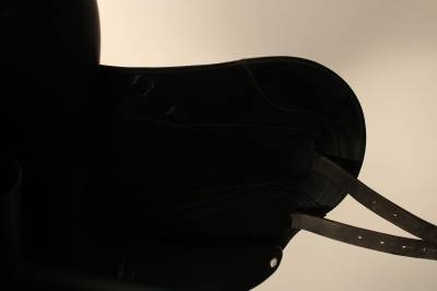 Sella da dressage cwd  17