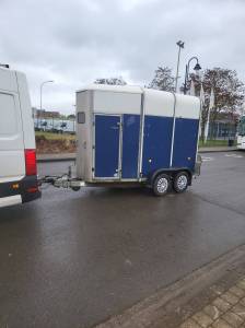 Superbe beau van iforwilliam