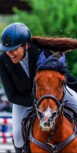 Venta de pony D de Salto