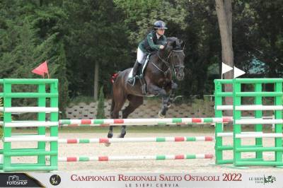 In vendita natty della bassanella - sella italiano 2015