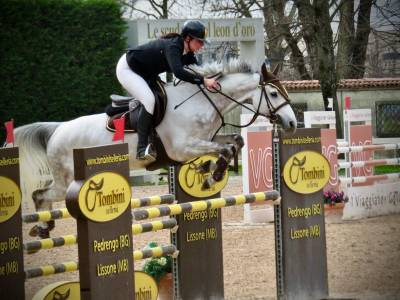 Castrone Italiano salto ostacoli del 2014