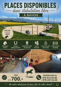 Stabulation libre pour chevaux 