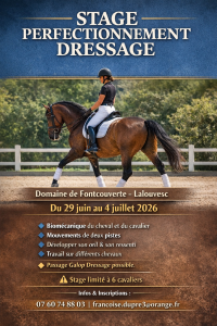 Stage perfectionnement dressage 