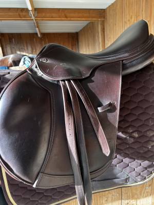 Sella da salto ostacoli Prestige Italia  17.5" - 2025