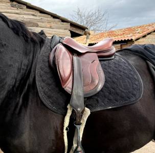 Sella mista jump in  17.5