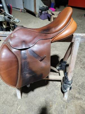 Selle bates caprilli care