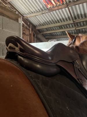 Selle x perience prestige