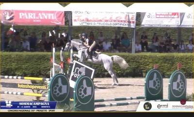 Cavalla salto ostacoli 