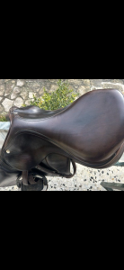 Sella mista equipe  17.5