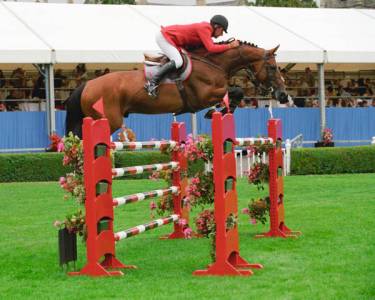 Jument idéal pour l’élevage!