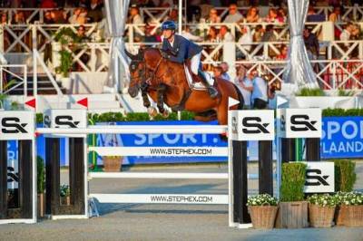 Jument idéale pour l’élevage 