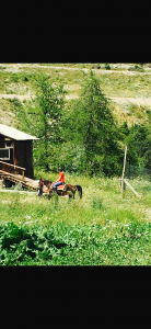 Demande de poste : Cavali&egrave;re Soigneuse confirm&eacute;e en ext