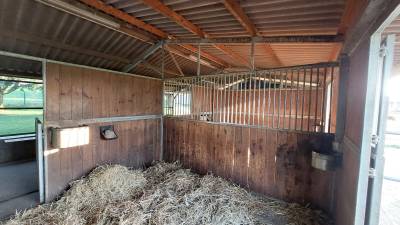 Spacieux boxe-terrasse à louer