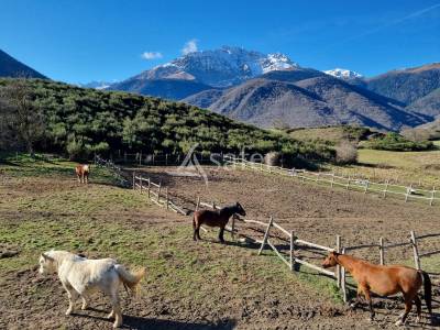 Propriété agricole sur 20 ha proche d'arreau