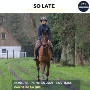 So late - ps - 5 ans