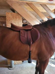 Selle renaissance cso 18