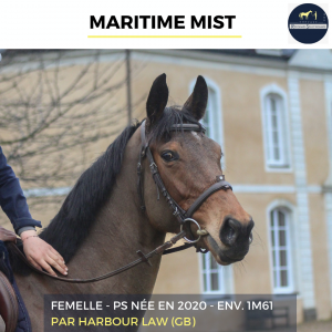 Maritime mist - ps - 6 ans