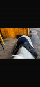 Selle gaston.m modèle severac