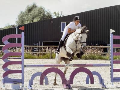 Jument grise - 11ans -1m47