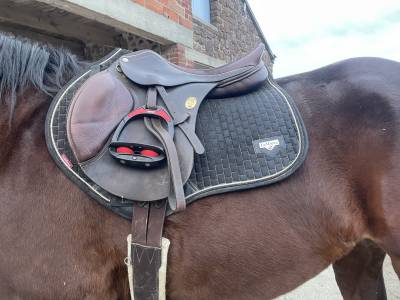 Selle éric mondange