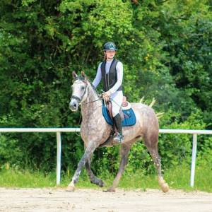 Merrie Franse rijpony PFS Te koop 2016 Schimmel ,  MOVIE STAR TILIA