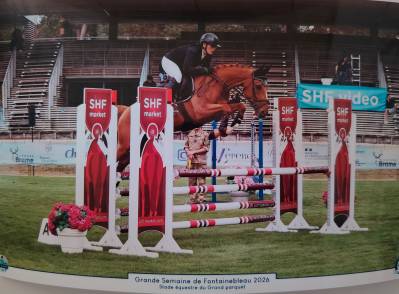 Caballo castrado silla francés en venta 2020 alazán por quarnac du mesnil