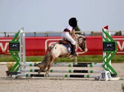 Mare Origin Recorded For loan 2016 Other color