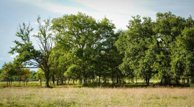 Propri&eacute;t&eacute; &eacute;questre       Bray en val