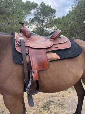 Selle reining crates