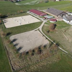 Pension en boxe écurie indépendante  mont-sur-lausanne