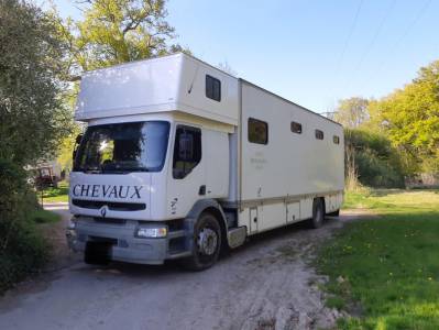 Camion per cavalli renault premium 1999 occasione