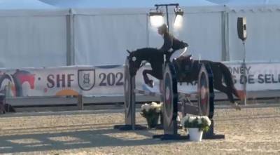 Kalindja de vendie ponette d