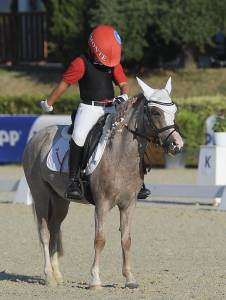 Vendita pony 117 cm per cambio categoria. Zona Piemonte