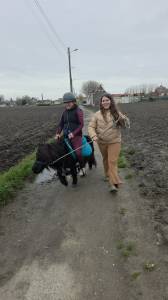 Shetland, d&eacute;bourr&eacute; 