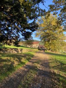 Equestrian bed and breakfast  puy-de-dôme