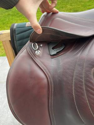 Sella da salto ostacoli cwd  17.5