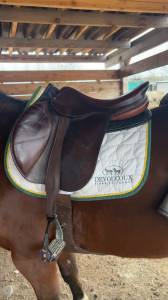 Sella mista  bruno delgrange  18