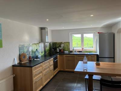 Appartement/maison avec écurie et pâturages 