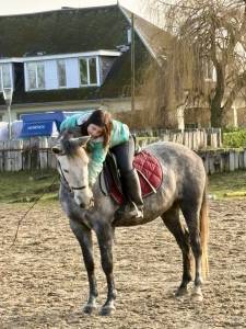 Magnifique jument espagnol de 6 ans 