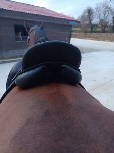 Selle de dressage darroze 