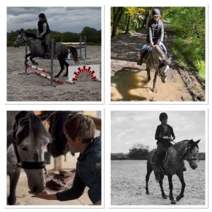 Ponette d 7 ans polyvalente